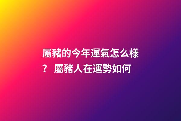 屬豬的今年運氣怎么樣？ 屬豬人在運勢如何